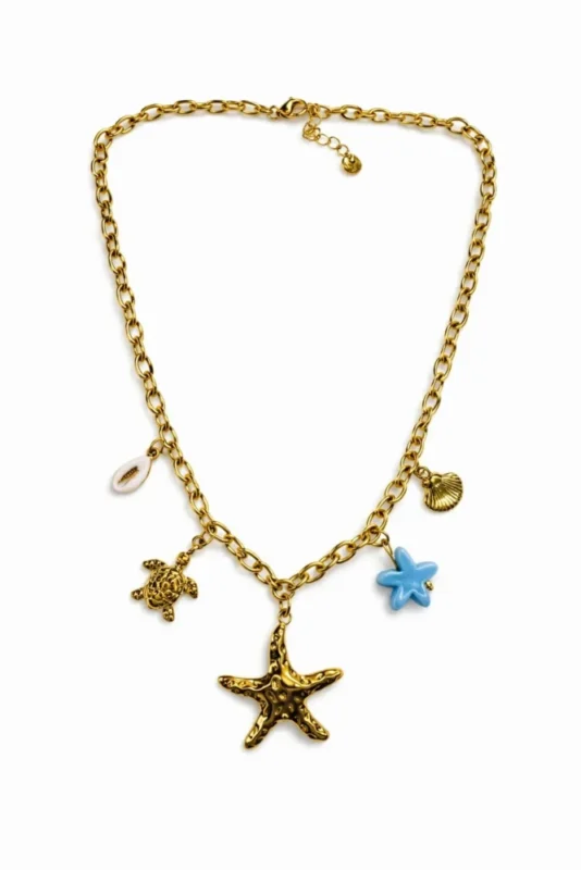 WhatsApp Image 2026-01-17 at 17.49.38