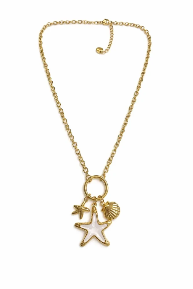 WhatsApp Image 2026-01-19 at 16.23.36