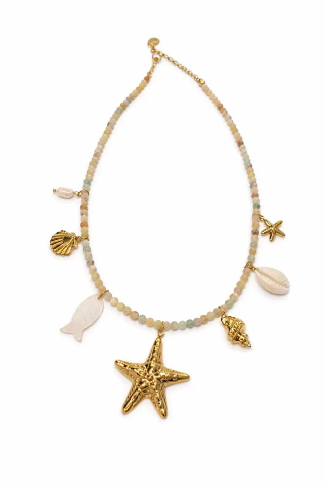 WhatsApp Image 2026-02-07 at 18.35.35