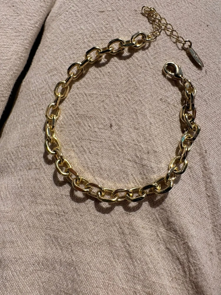 WhatsApp Image 2026-02-08 at 14.17.41