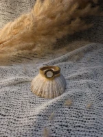 WhatsApp Image 2026-03-17 at 20.33.00