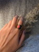 WhatsApp Image 2026-03-17 at 20.33.02 (1)