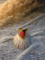 WhatsApp Image 2026-03-17 at 20.33.02