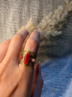 WhatsApp Image 2026-03-19 at 16.52.42