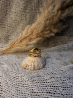 WhatsApp Image 2026-03-19 at 16.52.44 (1)