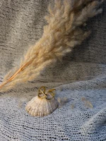 WhatsApp Image 2026-03-19 at 16.52.47 (2)